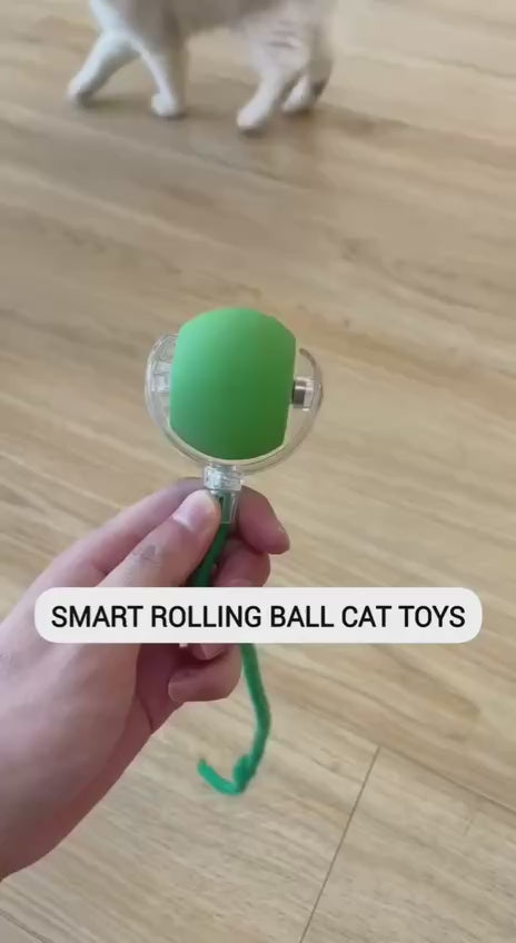 Automatic Cat Teaser Ball Toy