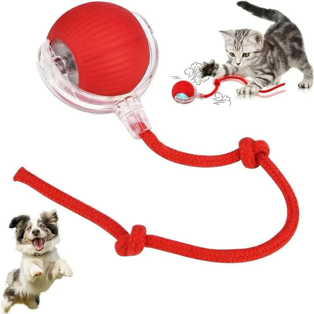 Rechargeable Automatic Cat Teaser Ball Toy – 360° Self - Moving LED Rolling Ball for Kittens & Dogs (Interactive Pet Toy) - Buyna