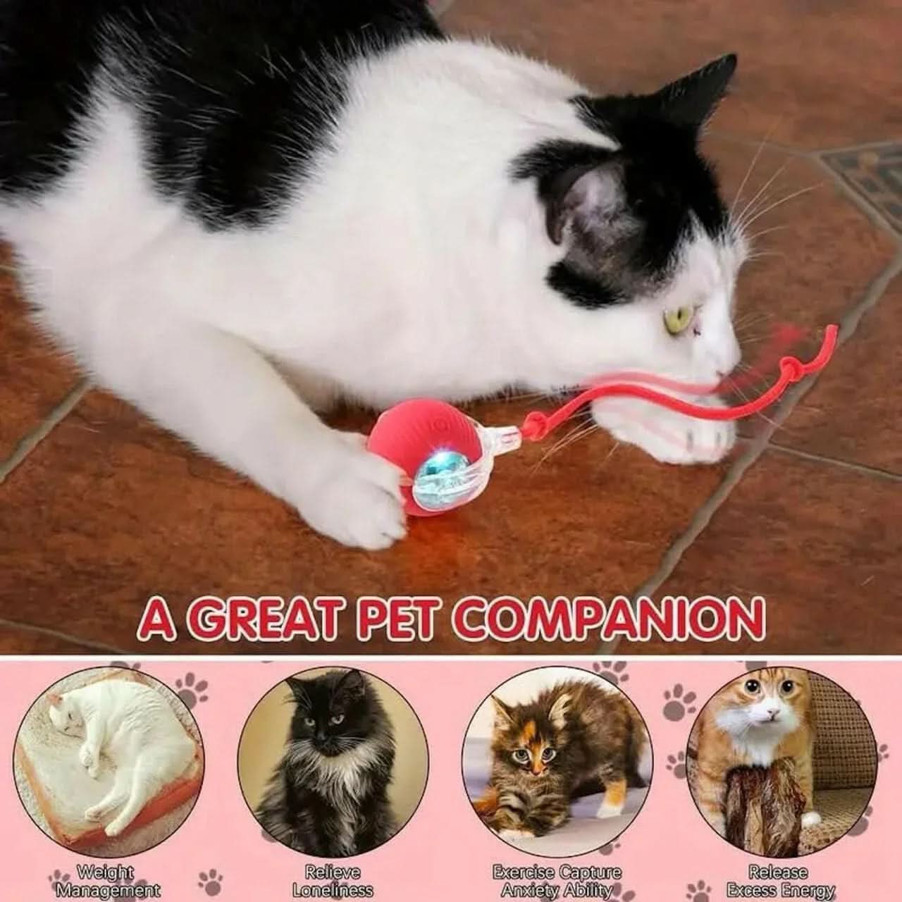 Rechargeable Automatic Cat Teaser Ball Toy – 360° Self - Moving LED Rolling Ball for Kittens & Dogs (Interactive Pet Toy) - Buyna
