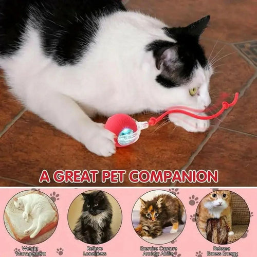 Rechargeable Automatic Cat Teaser Ball Toy – 360° Self - Moving LED Rolling Ball for Kittens & Dogs (Interactive Pet Toy) - Buyna
