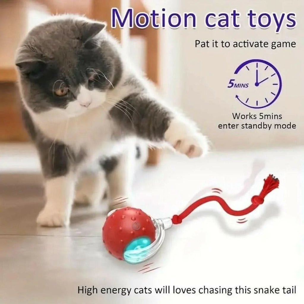 Rechargeable Automatic Cat Teaser Ball Toy – 360° Self - Moving LED Rolling Ball for Kittens & Dogs (Interactive Pet Toy) - Buyna