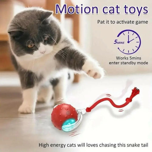 Rechargeable Automatic Cat Teaser Ball Toy – 360° Self - Moving LED Rolling Ball for Kittens & Dogs (Interactive Pet Toy) - Buyna